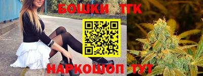 индика Партизанск