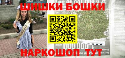индика Партизанск