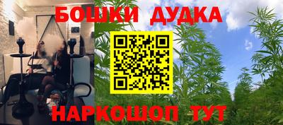 индика Партизанск