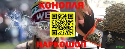 индика Партизанск