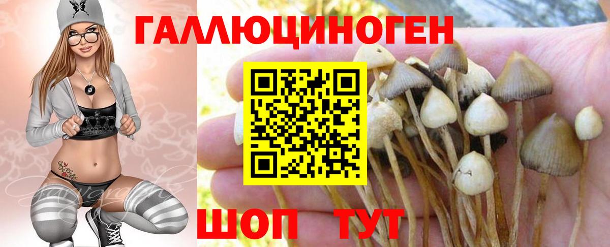 Псилоцибиновые грибы MAGIC MUSHROOMS Новодвинск